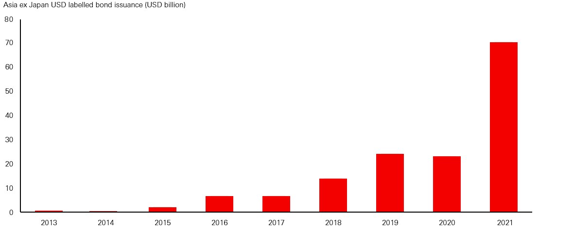 Record year in Asia USD sustainable bond supply