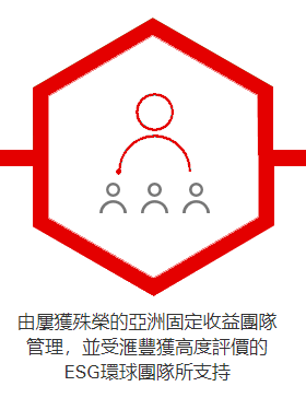 由屢獲殊榮的亞洲固定收益團隊管理,並受滙豐獲高度評價的ESG環球團隊所支持