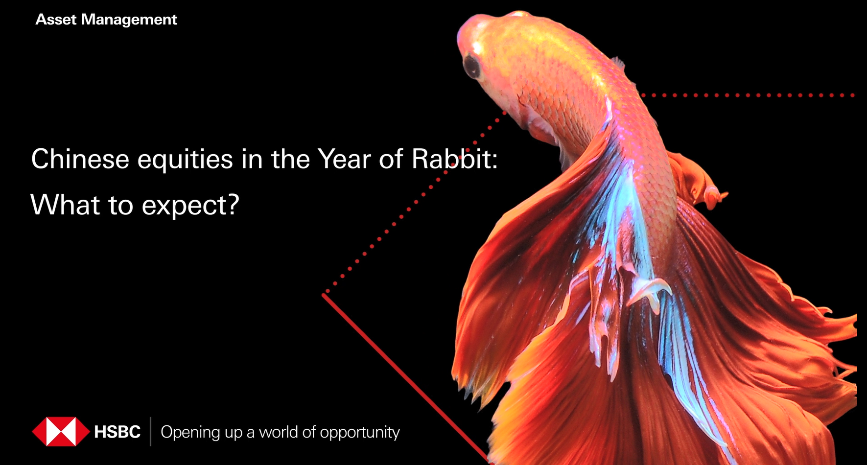 Chinese equities in the Year of the Rabbit: What to expect?