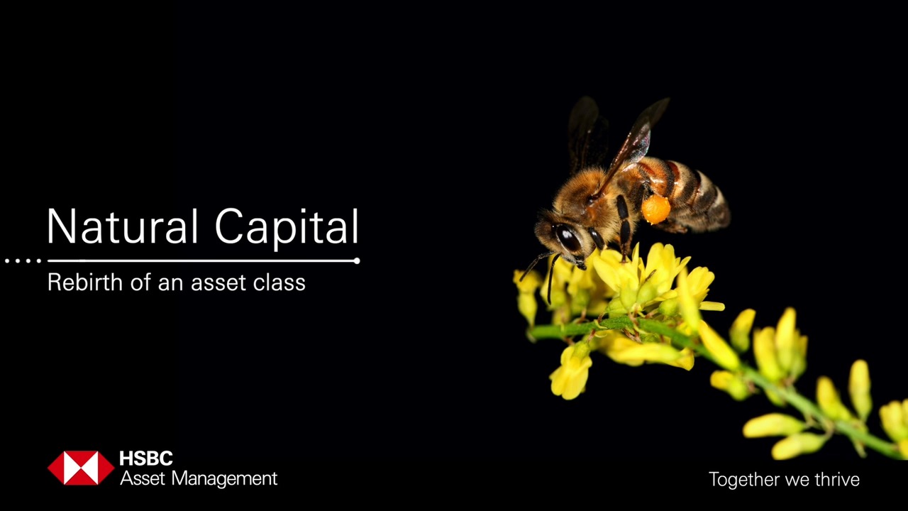 Natural Capital Rebirth Of An Asset Class