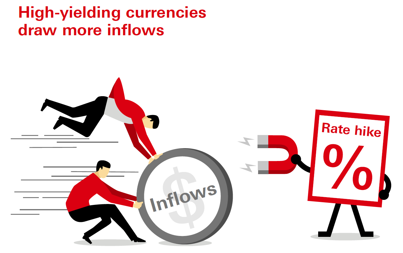High-yielding currencies draw more inflows. If a central bank hikes rates, the local currency will become more attractive due to its higher interest return. That will naturally attract more foreign currency being exchanged into the local currency and strengthen the latter.