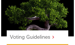 Voting Guidelines