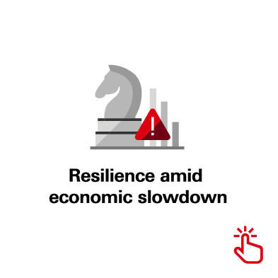 Resilience amid economic slowdown