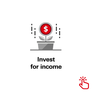 Invest for income