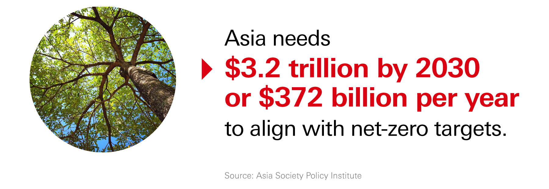 How Private Credit Is Fueling Asia's Energy Transition’
